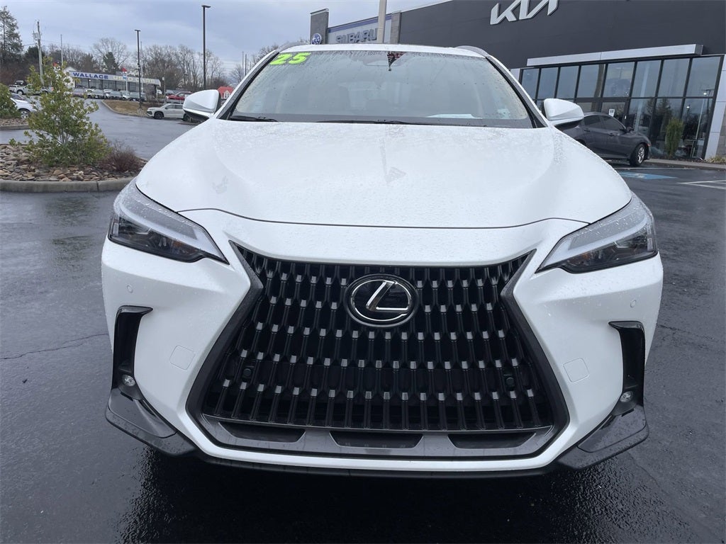 2025 Lexus NX 350h Premium