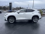 2025 Lexus NX 350h Premium