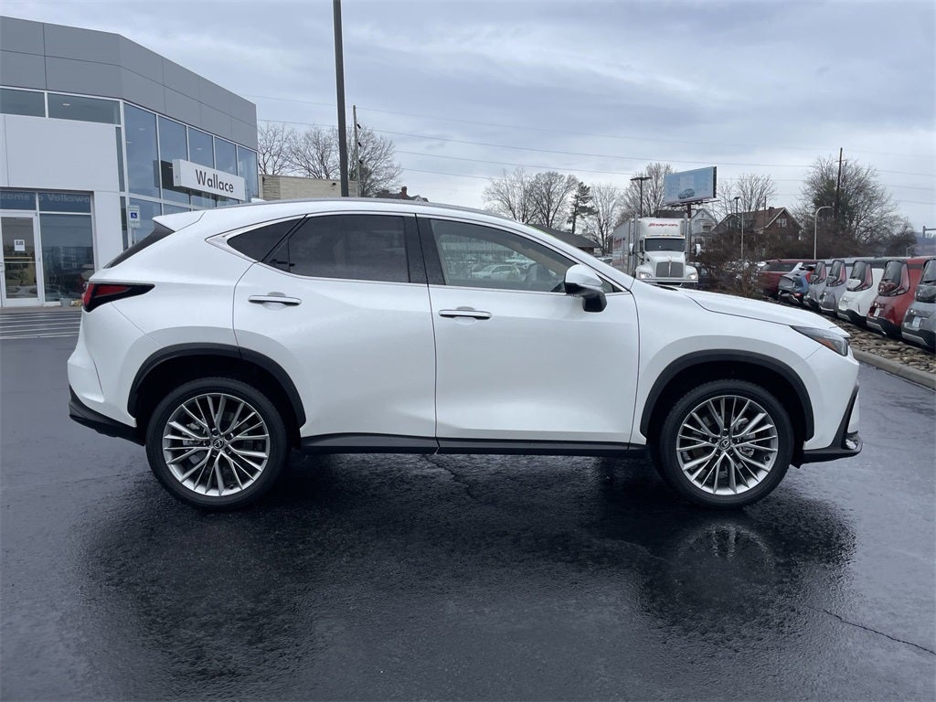 2025 Lexus NX 350h Premium